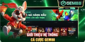 Giới thiệu về nhà cái GEM88
