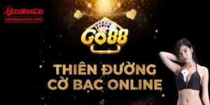Một số thông tin về cổng game GO88 cần biết