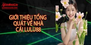 Điều cần biết về LULU88