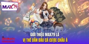 Một vài thông tin sơ bộ về MAX79