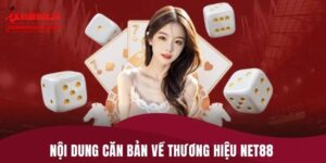 Tổng quan thông tin về nhà cái NET88