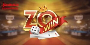 Giới thiệu thông tin sơ lược về ZOWIN