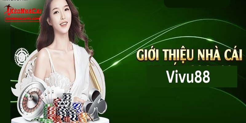 Vài điều quan trọng cần nắm về VIVU88