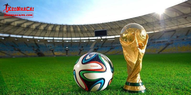 Mẹo cược bóng đá World Cup cho người mới