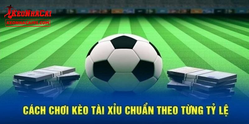 Hướng dẫn mẹo cược tài xỉu dễ thắng nhất