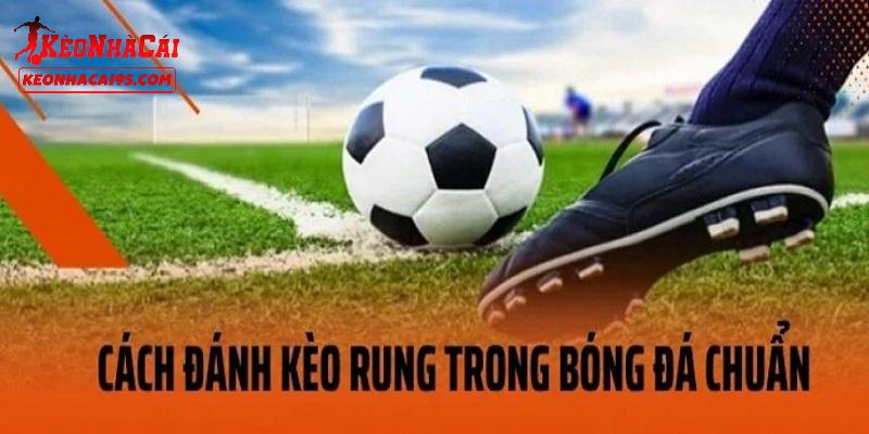 Mẹo đánh kèo rung luôn đạt tỷ lệ thắng cao