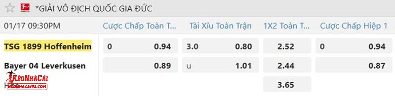 Tỷ lệ soi kèo Hoffenheim vs Leverkusen