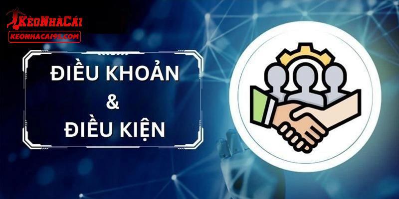 Những thông tin sơ bộ về điều khoản điều kiện 