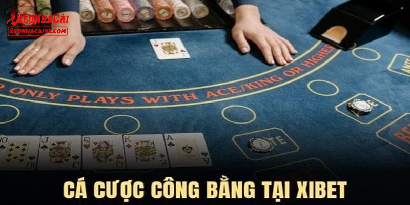 Những điểm hàng đầu tại XIBET được chú ý Những điểm hàng đầu tại XIBET được chú ý