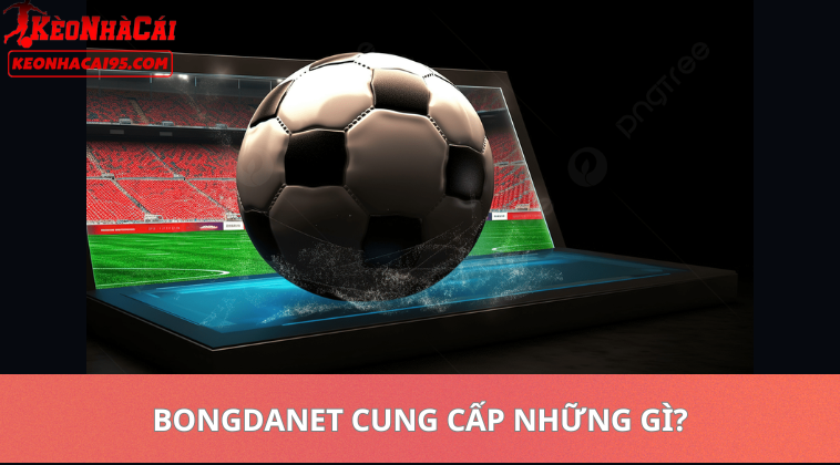 Bongdanet Cung Cấp Những Gì?