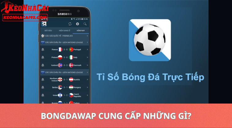 Bongdawap Cung Cấp Những Gì?