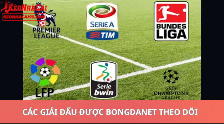 Các Giải Đấu Được Bongdanet Theo Dõi Sát Nhất