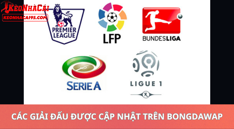 Các Giải Đấu Được Cập Nhật Trên Bongdawap