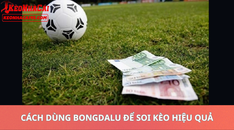 Bongdalu 