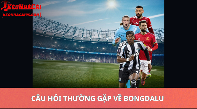 bongdalu