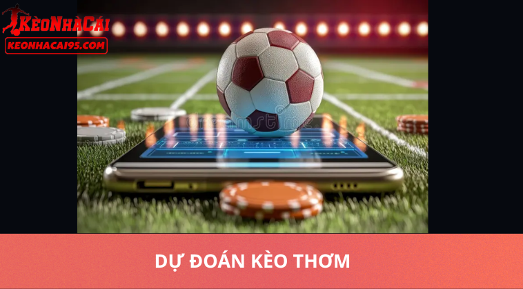 Tin Tức